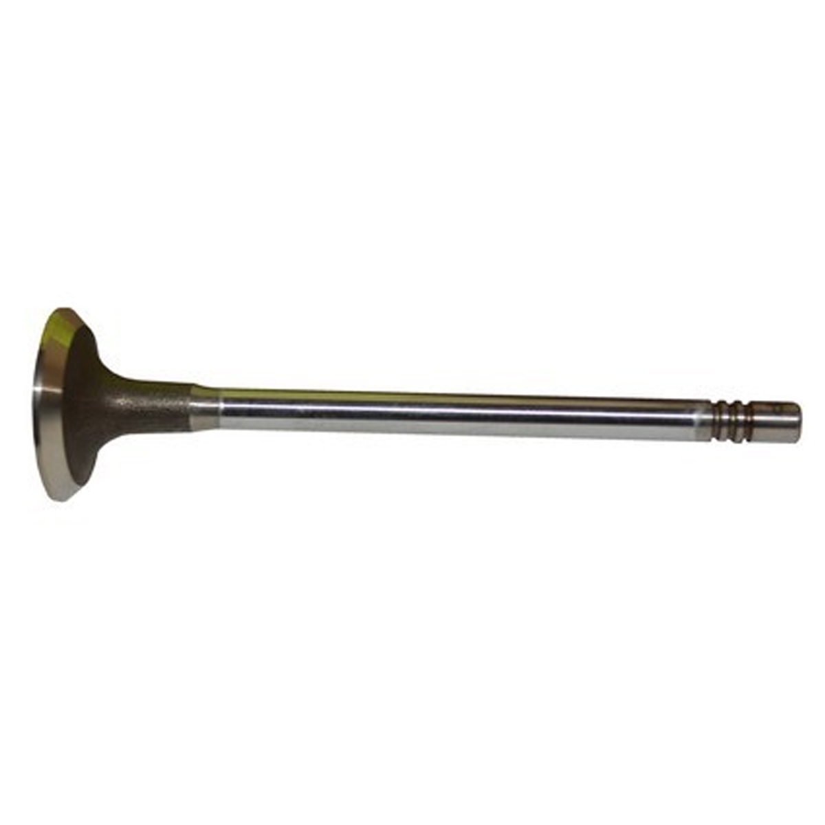 Exhaust Valve