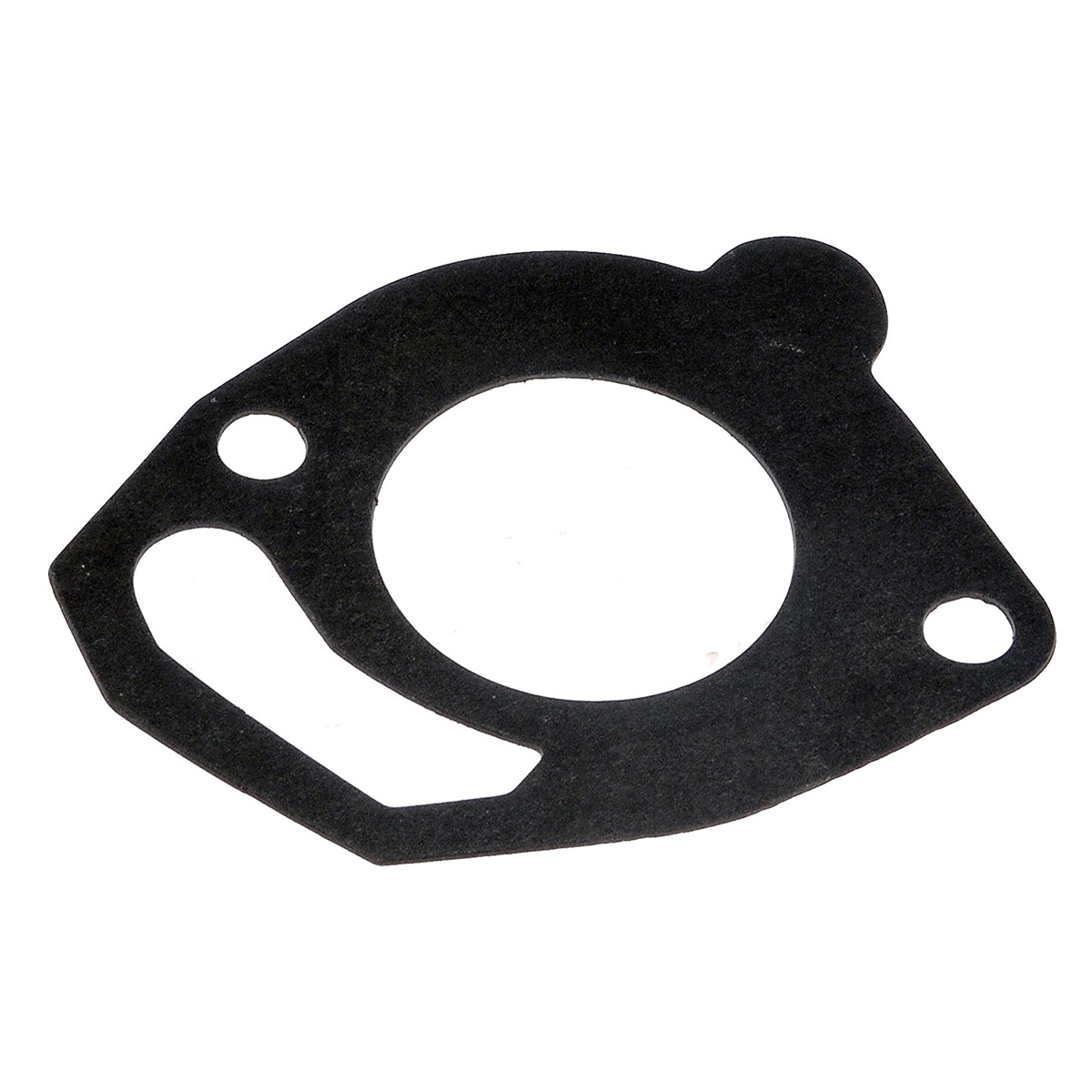 Thermostat Gasket