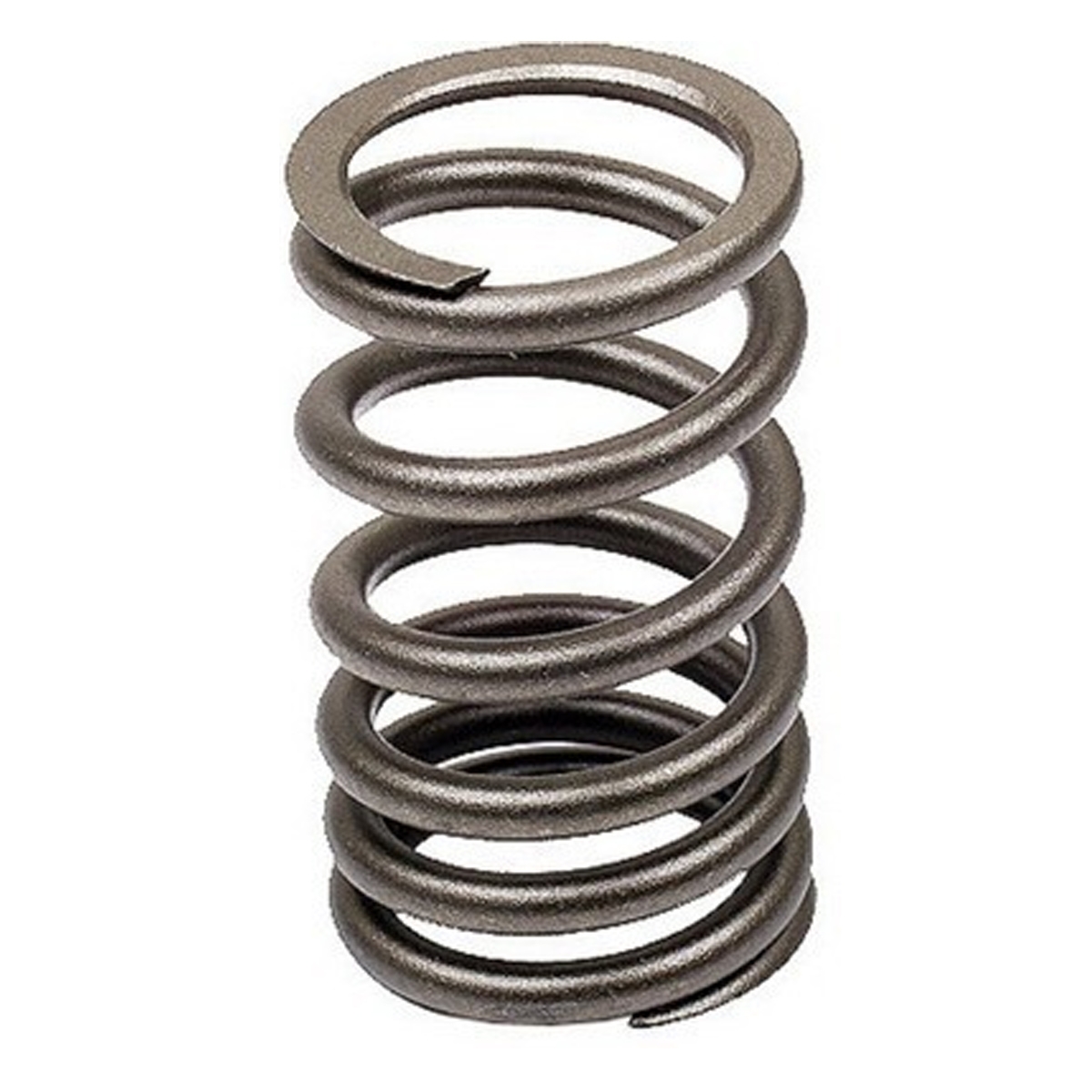 Valve Spring