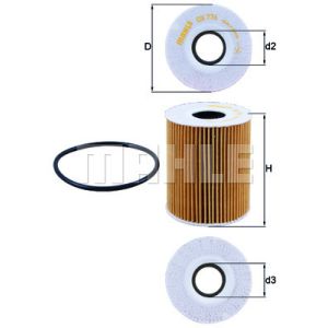 Oil Filter - Insert