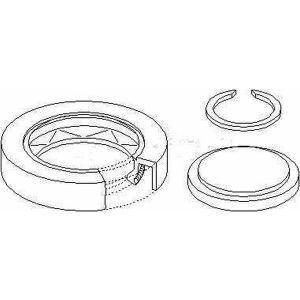 DIFF SHAFT SEAL