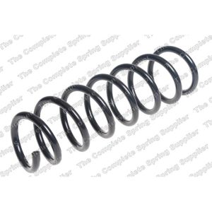 Coil Spring - Front