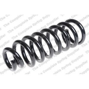 Coil Spring - Front