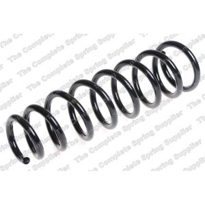 Coil Spring - Front