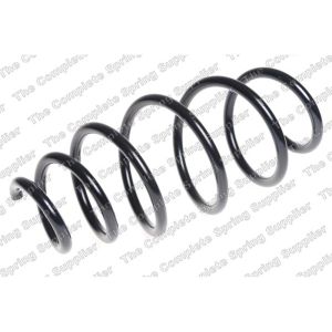 Coil Spring - Front