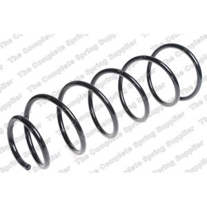 Coil Spring - Front