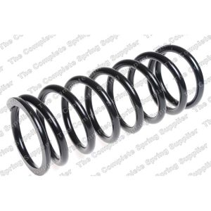 Coil Spring - Rear