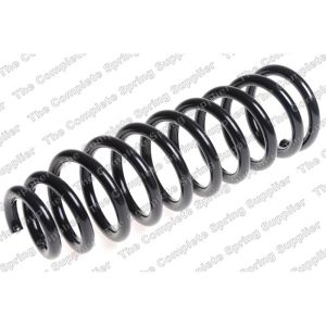 Coil Spring - Front