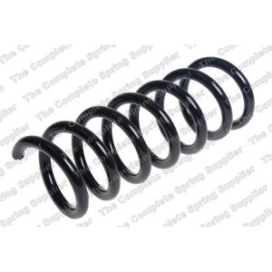 Coil Spring - Front