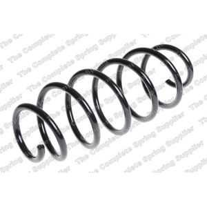 Coil Spring - Front