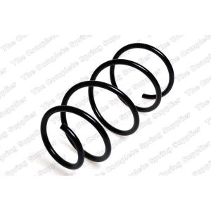 Coil Spring - Rear