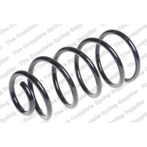 Coil Spring - Rear