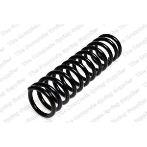 Coil Spring - Rear