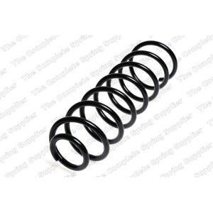 Coil Spring - Rear