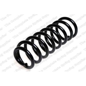 Coil Spring - Rear