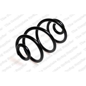 Coil Spring - Rear