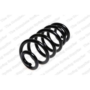 Coil Spring - Rear