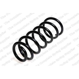 Coil Spring - Rear