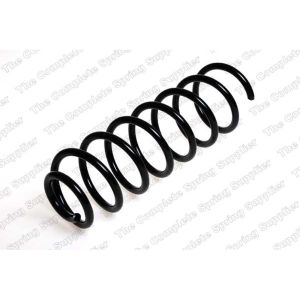 Coil Spring - Rear