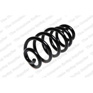 Coil Spring - Rear