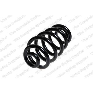 Coil Spring - Rear