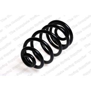 Coil Spring - Rear