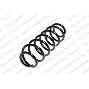 Coil Spring - Rear