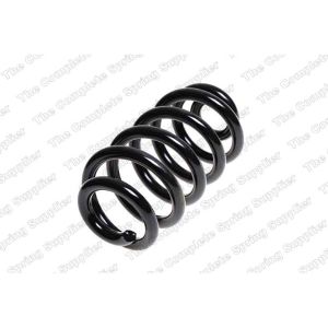 Coil Spring - Rear