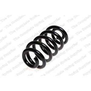 Coil Spring - Rear