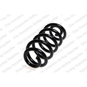 Coil Spring - Rear