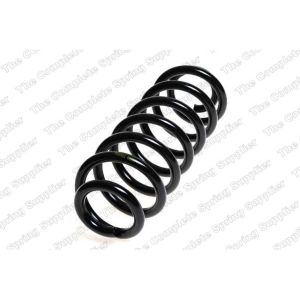 Coil Spring - Rear