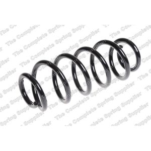 Coil Spring - Rear