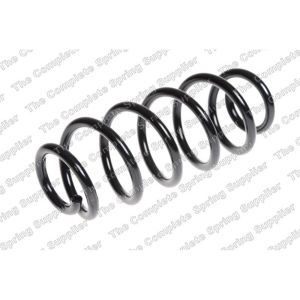 Coil Spring - Rear