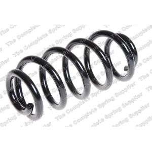 Coil Spring - Rear