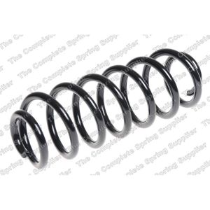 Coil Spring - Rear