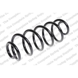 Coil Spring - Rear