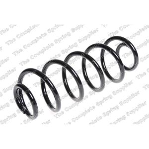 Coil Spring - Rear