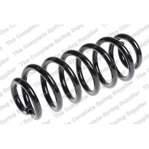 Coil Spring - Rear