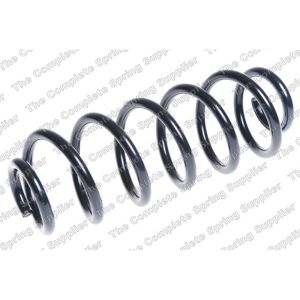 Coil Spring - Rear