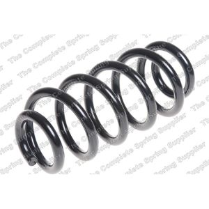 Coil Spring - Rear