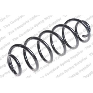 Coil Spring - Rear