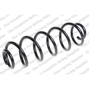 Coil Spring - Rear