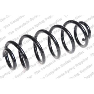 Coil Spring - Rear