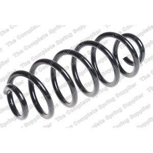 Coil Spring - Rear