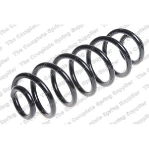 Coil Spring - Rear