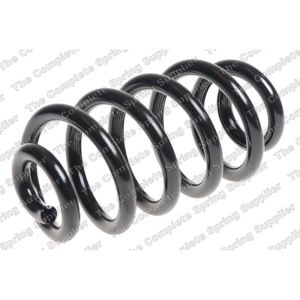 Coil Spring - Rear