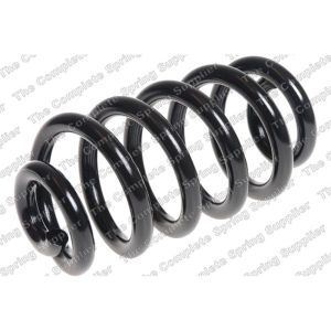 Coil Spring - Rear