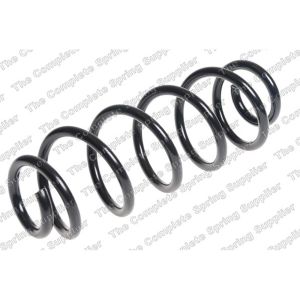 Coil Spring - Rear