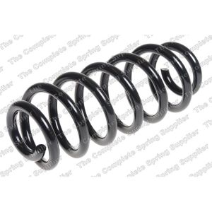 Coil Spring - Rear