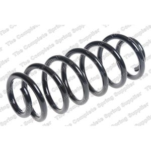 Coil Spring - Rear